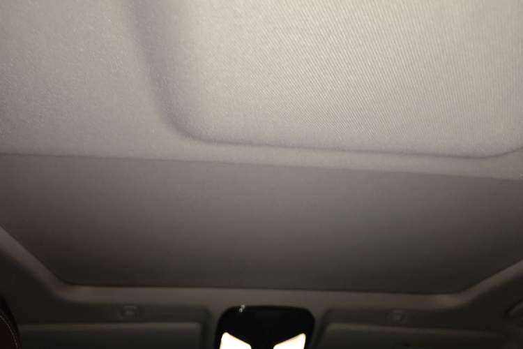 Used BMW 5 Series 2020 525Li Luxury Package Headliner