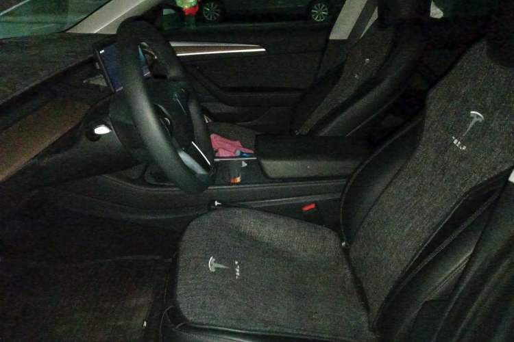 Used Tesla Model 3 2022 Rear-Wheel-Drive Version