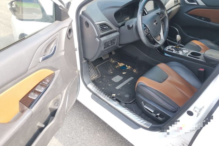 Used BYD Qin New Energy 2016 Qin EV300 Prestige Model