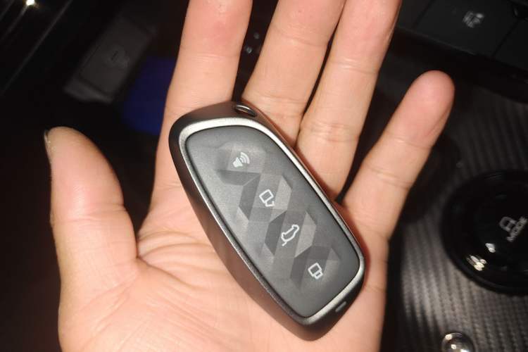 Used Haval H Dog New Energy 2024 Hi4 102km Trend Electric Version Plus