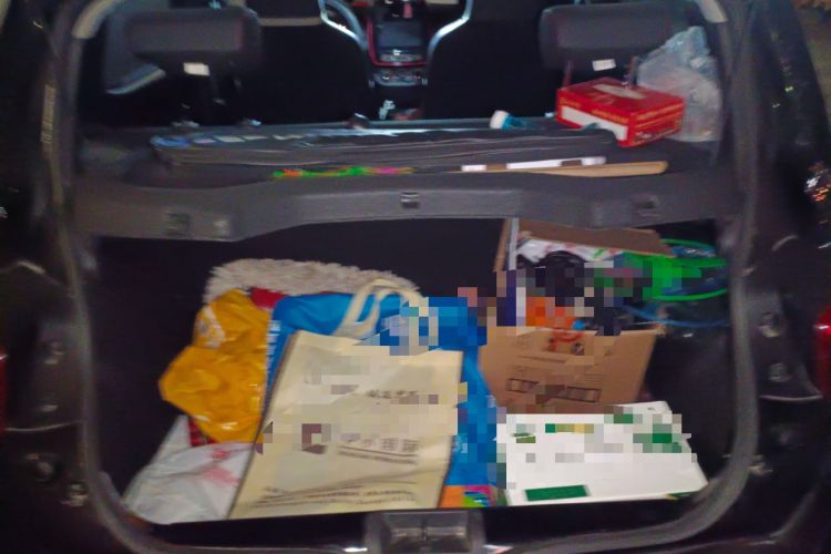 Used Dongfeng NAMMI EX1 2022 Restyled PRO Tiger Glory Deluxe Version Trunk