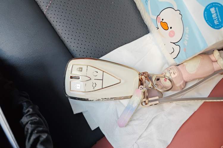 Used CHANGAN Eado 2023 Changan Edition PLUS Blue Whale NE 1.4T GDI DCT Prestige Version