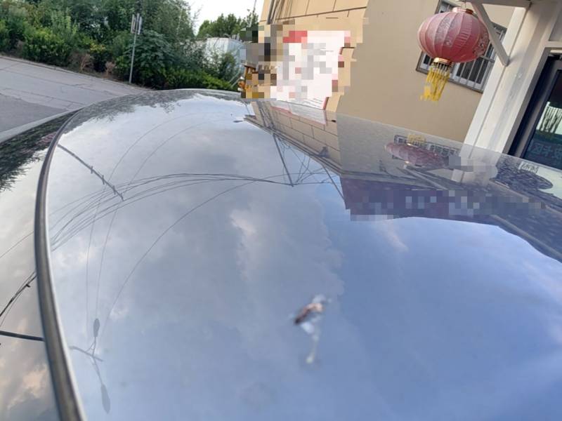Used BYD Yuan UP 2025 Model 301KM Leading Version — 26