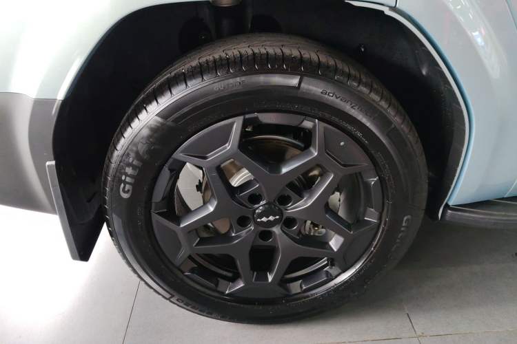 Used Formula Leopard Tai 7 2025 Model 190 km Four-Wheel Drive Ultra Edition
