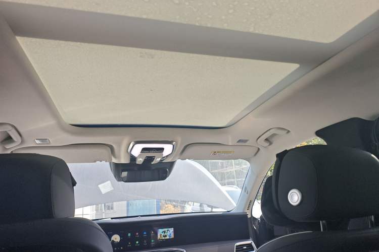 Used Hongqi E-HS9 2021 460 km Range Flagship Edition Six-Seater
