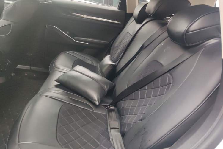 Used Haval H6 2021 3rd Generation 2.0T Automatic Two-Wheel Drive Max Left Rear Seat