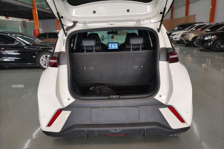 Used BYD Seagull 2023 Free Edition
