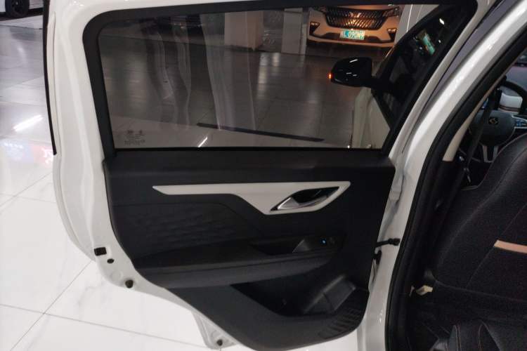 Used SOL E10X 2022 Flower Fairy Design Dandelion