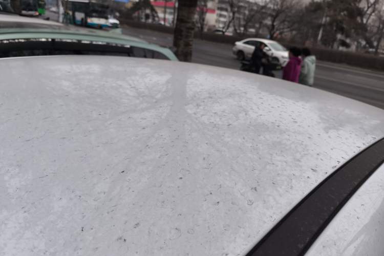 Used BYD Seal 05 DM-i 2025 DM-i Smart Drive 55KM Luxury Model Roof