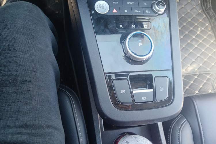 Used BYD e2 2019 Long-Range Version Yao·Luxury Trim
