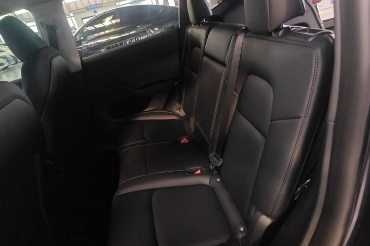 Used Tesla Model Y 2024 Rear-Wheel-Drive Version Left Rear Seat