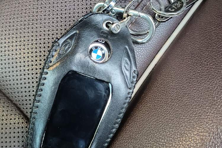 Used BMW 5 Series New Energy 2021 535Le Luxury Package