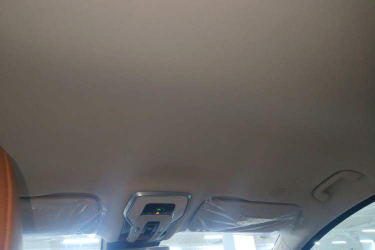 Used Hongqi HQ9 PHEV 2024 2.0T Four-Wheel Drive Luxury Edition
