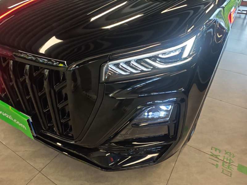 Used Hongqi HS5 2026 Model 2.0T Four-Wheel Drive Xuan Ying Edition — 23
