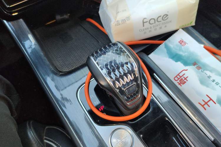 Used GAC Trumpchi GS8 2022 Linghang Series 2.0 TGDI Two-Wheel-Drive Luxury Smart Connectivity Version (7 Seats)