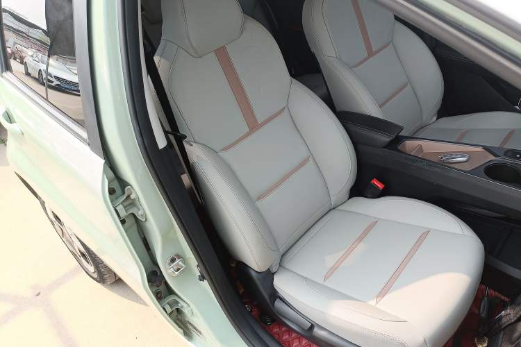 Used SOL E10X 2022 Flower Fairy Design Four-Leaf Clover