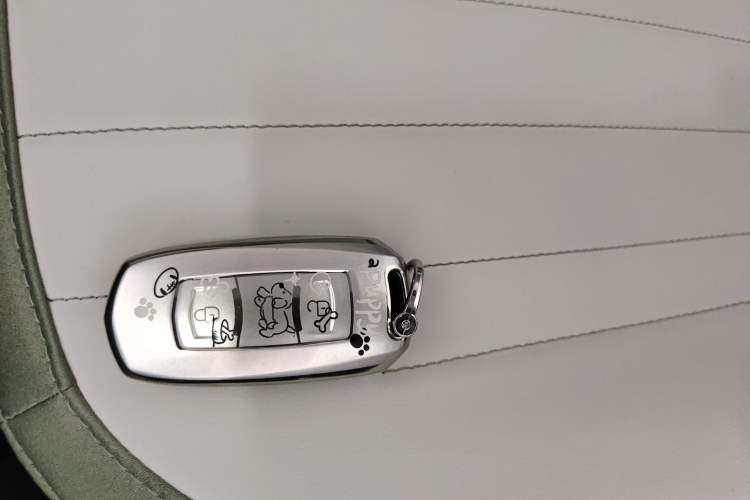 Used Geely Galaxy Panda 2025 210km Panda Rider Vehicle Key