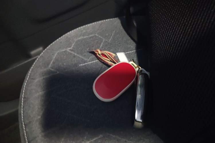 Used Geely Galaxy Panda 2023 Panda Mini 200km Endurance Bear