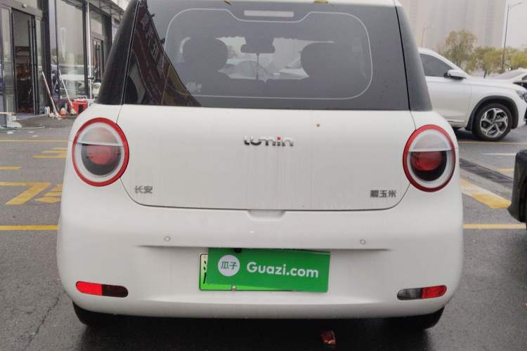 Used CHANGAN NEVO Lumin 2023 205km Xiangqin Version