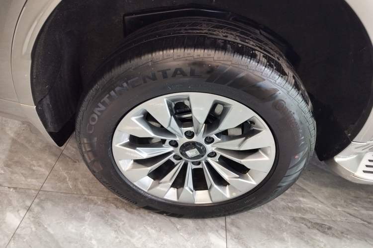 Used Tank 500 New Energy 2026 Model—Hi4-Z Smart Enjoyment Version