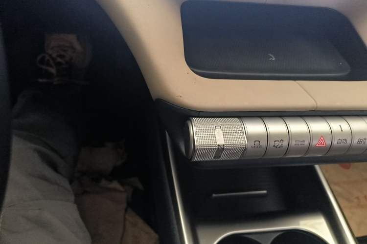 Used BYD Dolphin 2023 420 km Fashion Edition Gear Lever