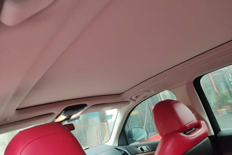 Used BMW X5 (Import) 2019 xDrive30i X Design Package
