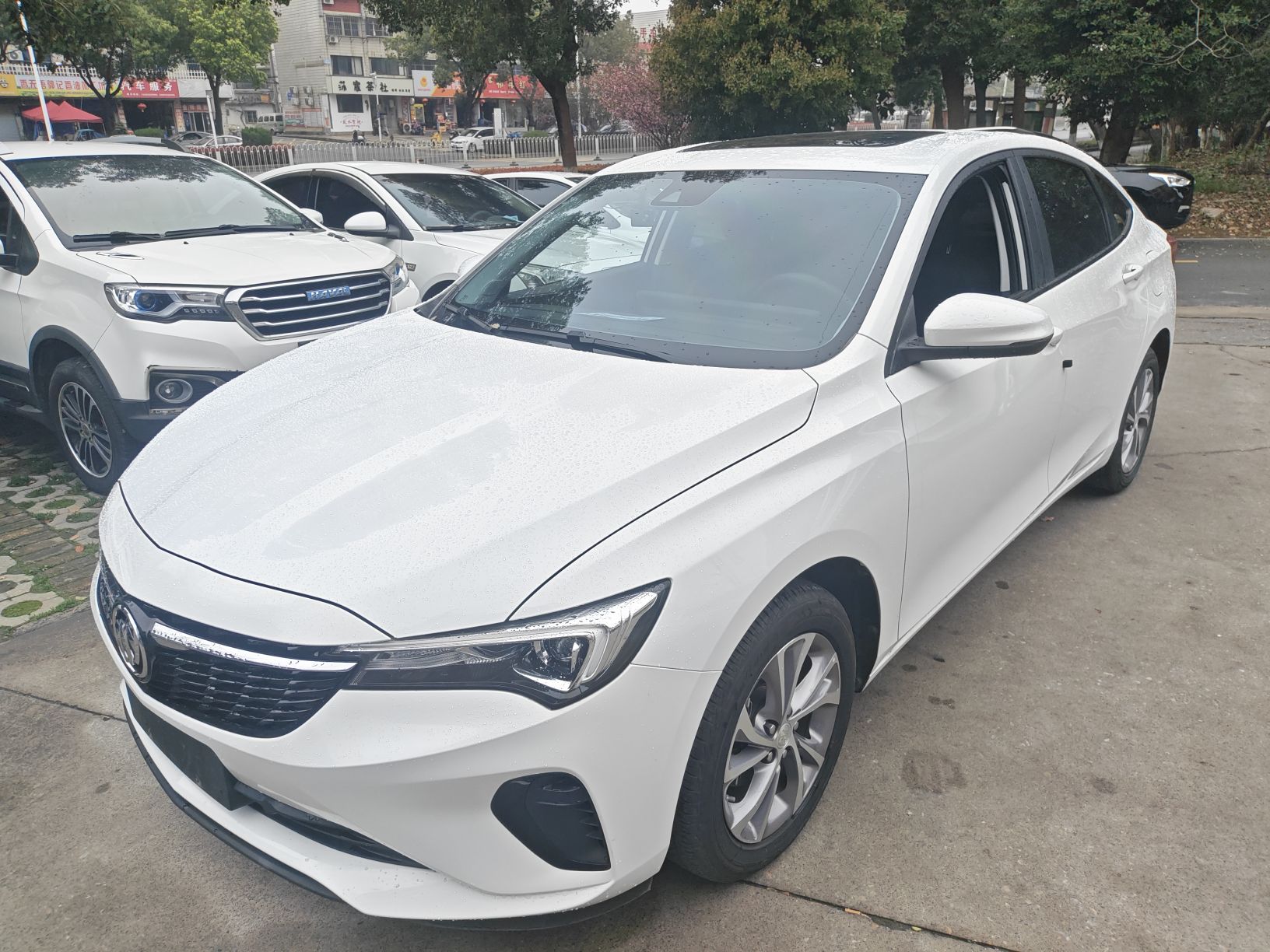 Parte inferior delantera