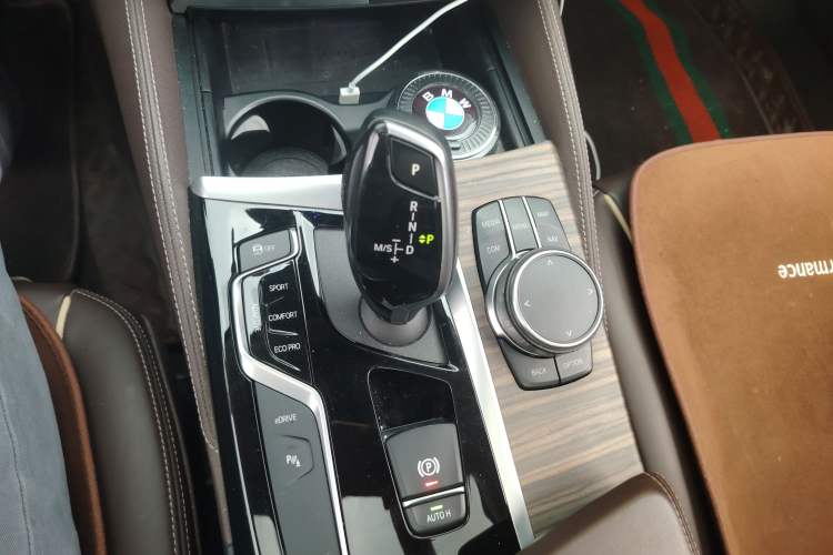 Used BMW 5 Series New Energy 2020 530Le Luxury Package