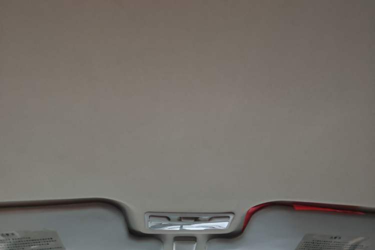 Used Leopaard Feiting 2010 Fashion Edition 1.5L Two-Wheel Drive Comfort Version Headliner