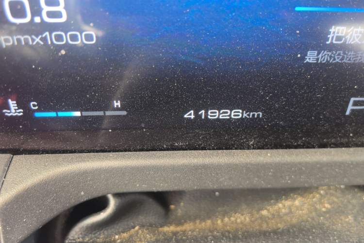 Used Tank 300 2024 2.0T Conqueror