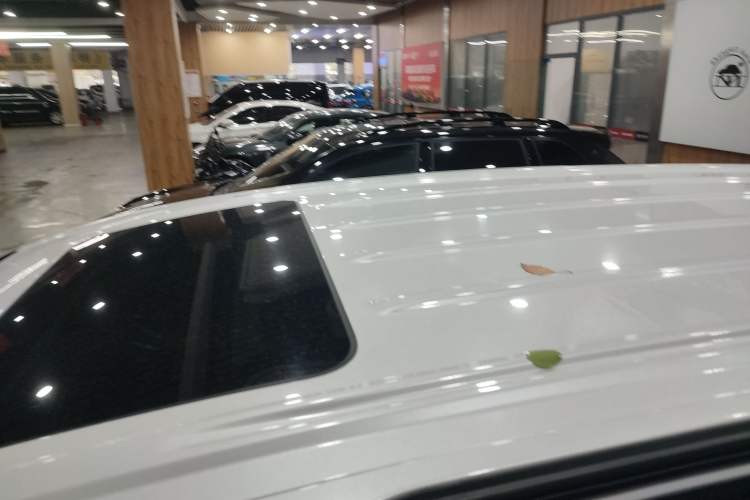 Used Buick GL8 2022 ES Landtrek 653T Luxury Edition Roof