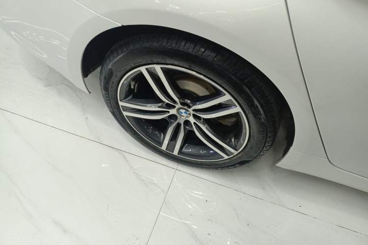 Used BMW 5 Series 2021 530Li Leading Luxury Package Exterior 5