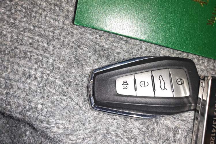 Used Geometry E Firefly 2023 401KM Linglong Tiger 5-Seater Custom Edition
