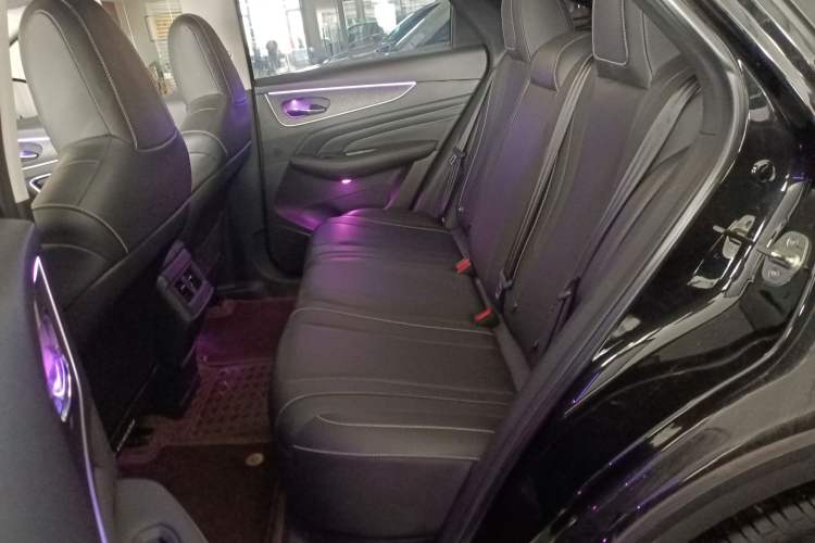 Used Venucia V 2023 260T Black Horse Edition Pro Left Rear Seat