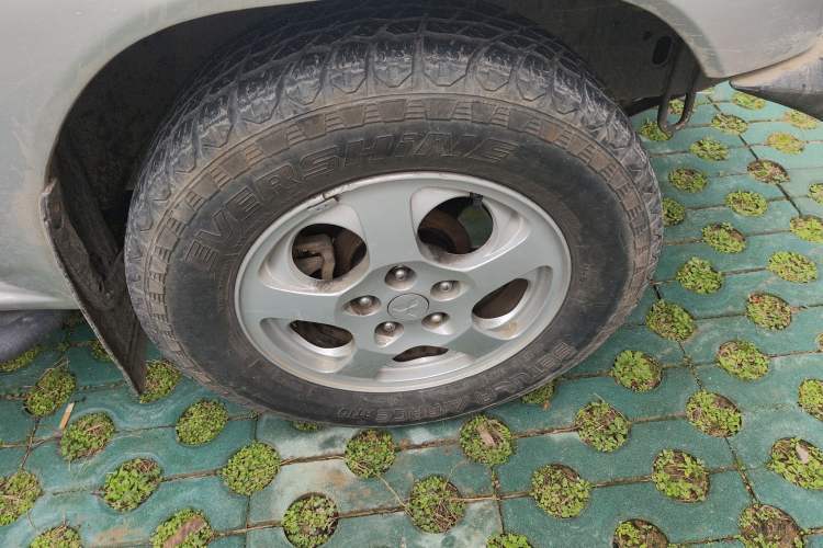 Used Leopaard Feiting 2009 2.0L 4x4 Luxury Edition