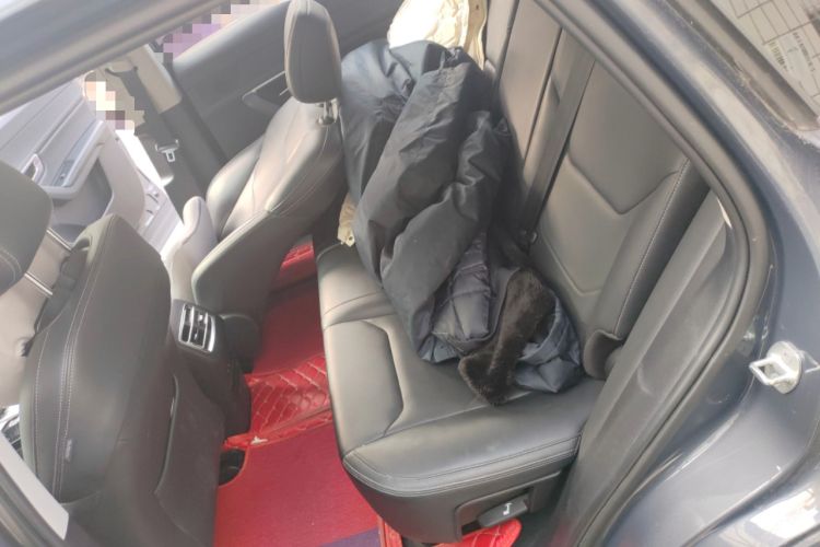 Used BYD Song Pro 2020 1.5T Automatic Pilot Edition Left Rear Seat