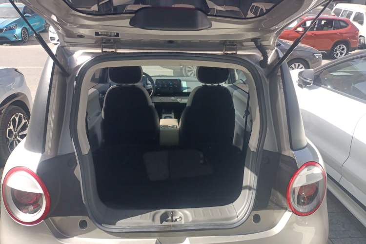 Used Qiyuan Lumin 2023 301km Honey Dew Edition
