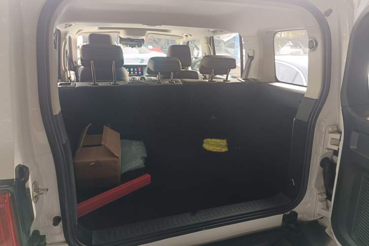 Used Tank 300 2024 2.0T Conqueror