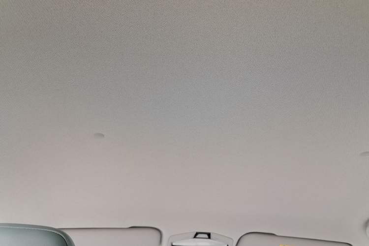 Used Geometry E Firefly 2023 401KM Linglong Tiger 5-Seater Headliner