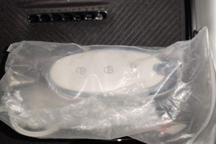 Used Dongfeng NAMMI 01 2024 430 Plus Smart+ Vehicle Key