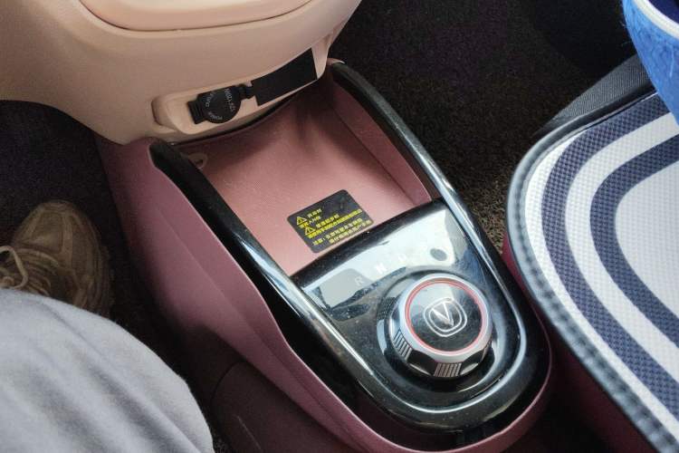 Used Oshan Benni E-Star 2021 National Edition Colorful Version Lithium Iron Phosphate (31.86 kWh)
