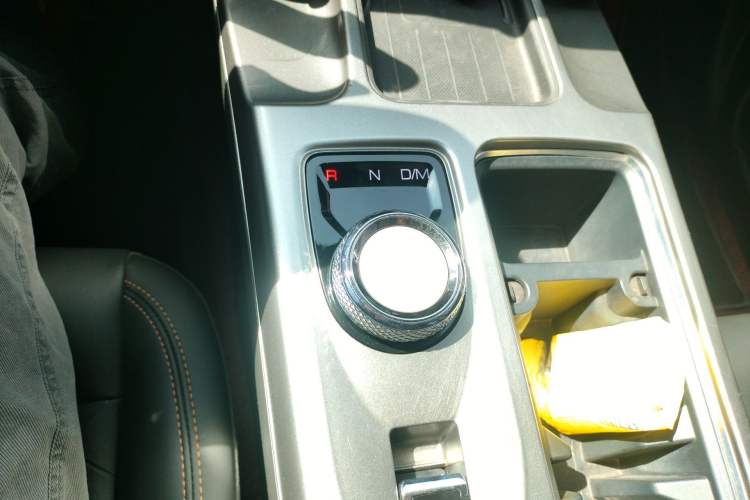 Used Haval DARGO 2024 2.0T DCT Chinese Rural Dog Edition
