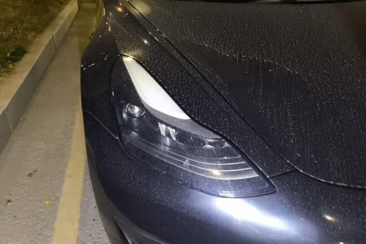 Used Tesla Model 3 2021 Standard Range Rear-Wheel Drive Upgraded Version 3D6
