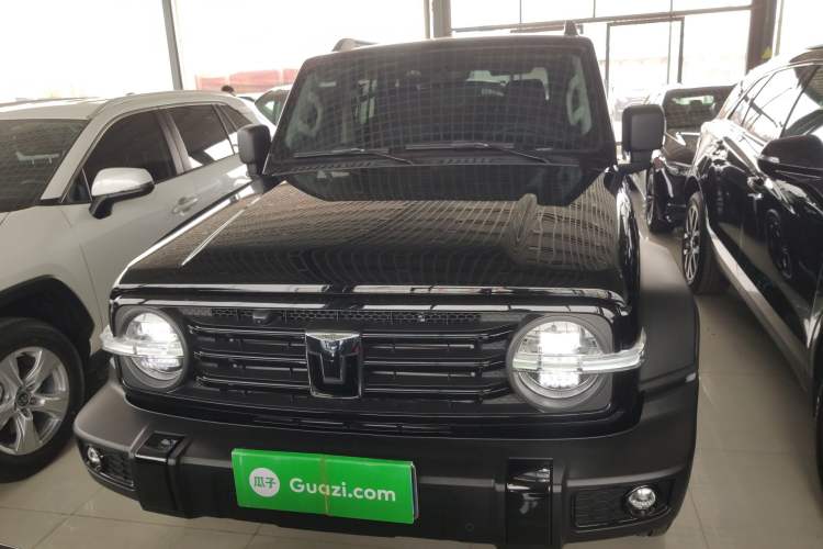 Used Tank 300 2024 2.0T Conqueror