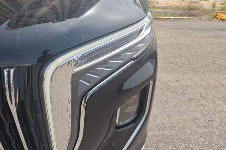 Used Hongqi HQ9 2023 2.0T Smart Connect Flagship Edition