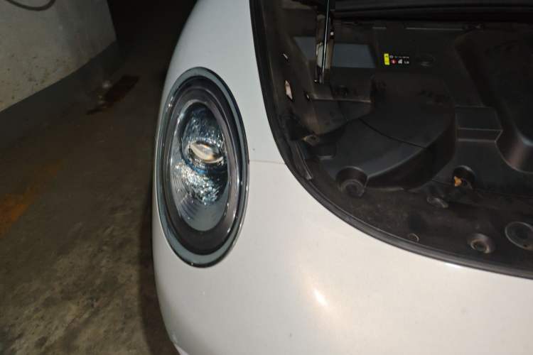 Used ORA Lightning Cat 2022 555 km Luxury Edition