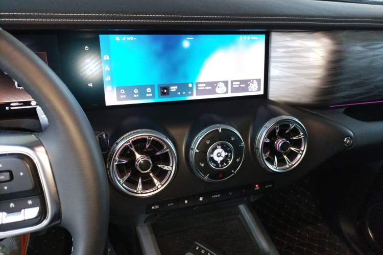 Used Tank 300 2024 2.0T Conqueror