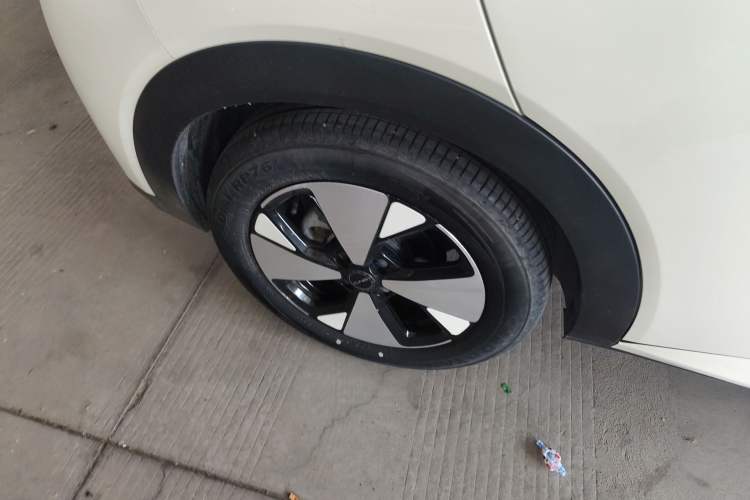 Used BYD Dolphin 2023 420 km Free Version