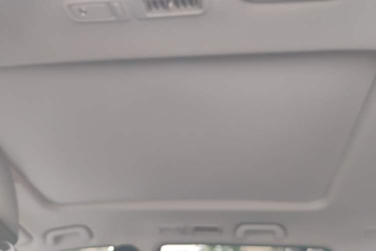 Used GAC Trumpchi GS8 2017 320T Two-Wheel Drive Luxury Smart Connectivity Version (7 Seats) Headliner