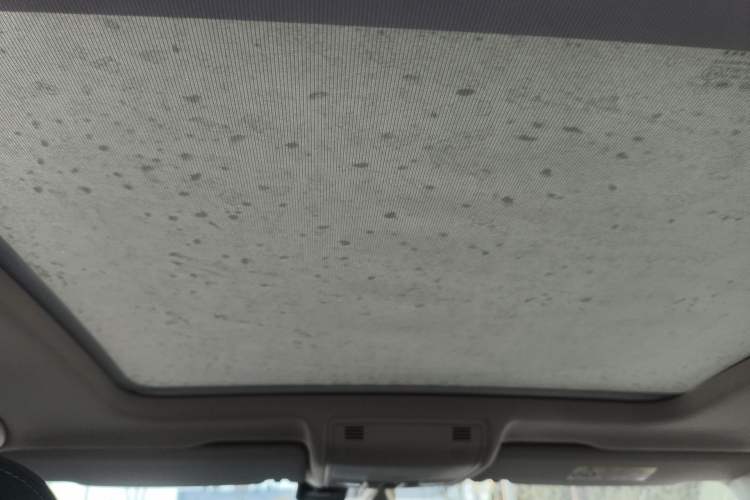 Used Volkswagen Tayron 2019 330TSI Four-Wheel Drive Luxury Version China VI Standard Headliner